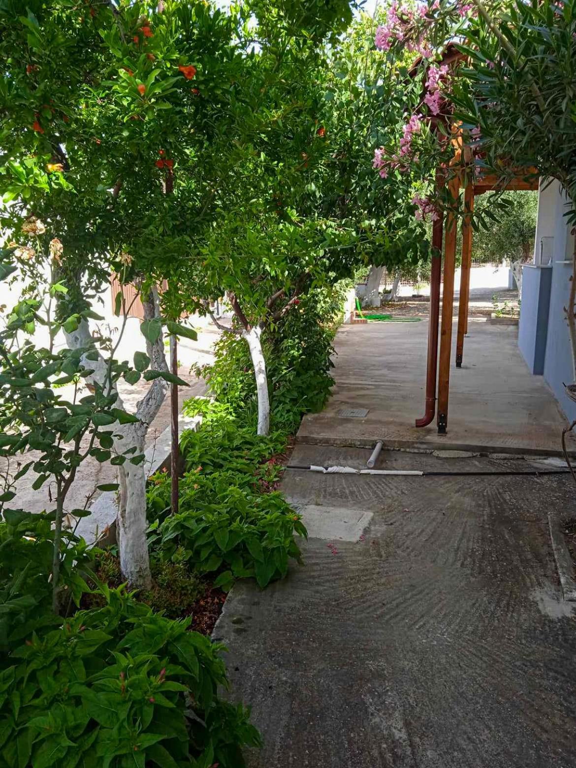 Κυανή Ακτή - Agia Paraskevi มากรี ภายนอก รูปภาพ