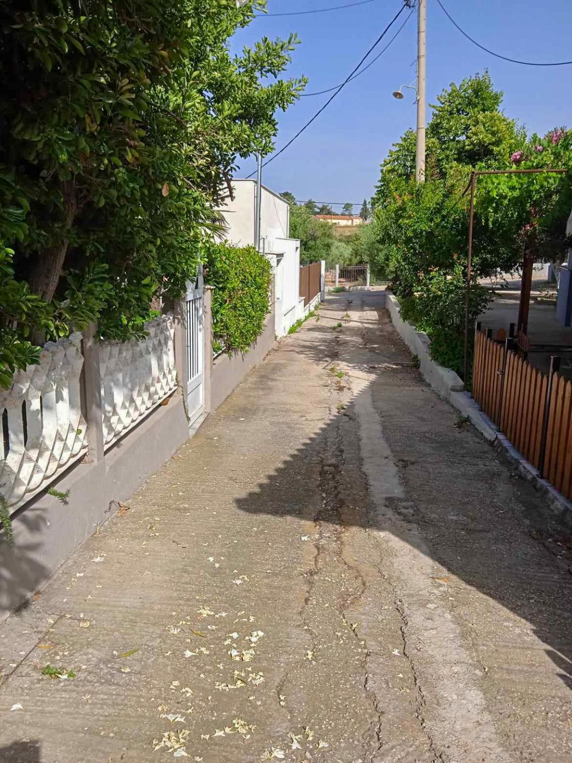 Κυανή Ακτή - Agia Paraskevi มากรี ภายนอก รูปภาพ