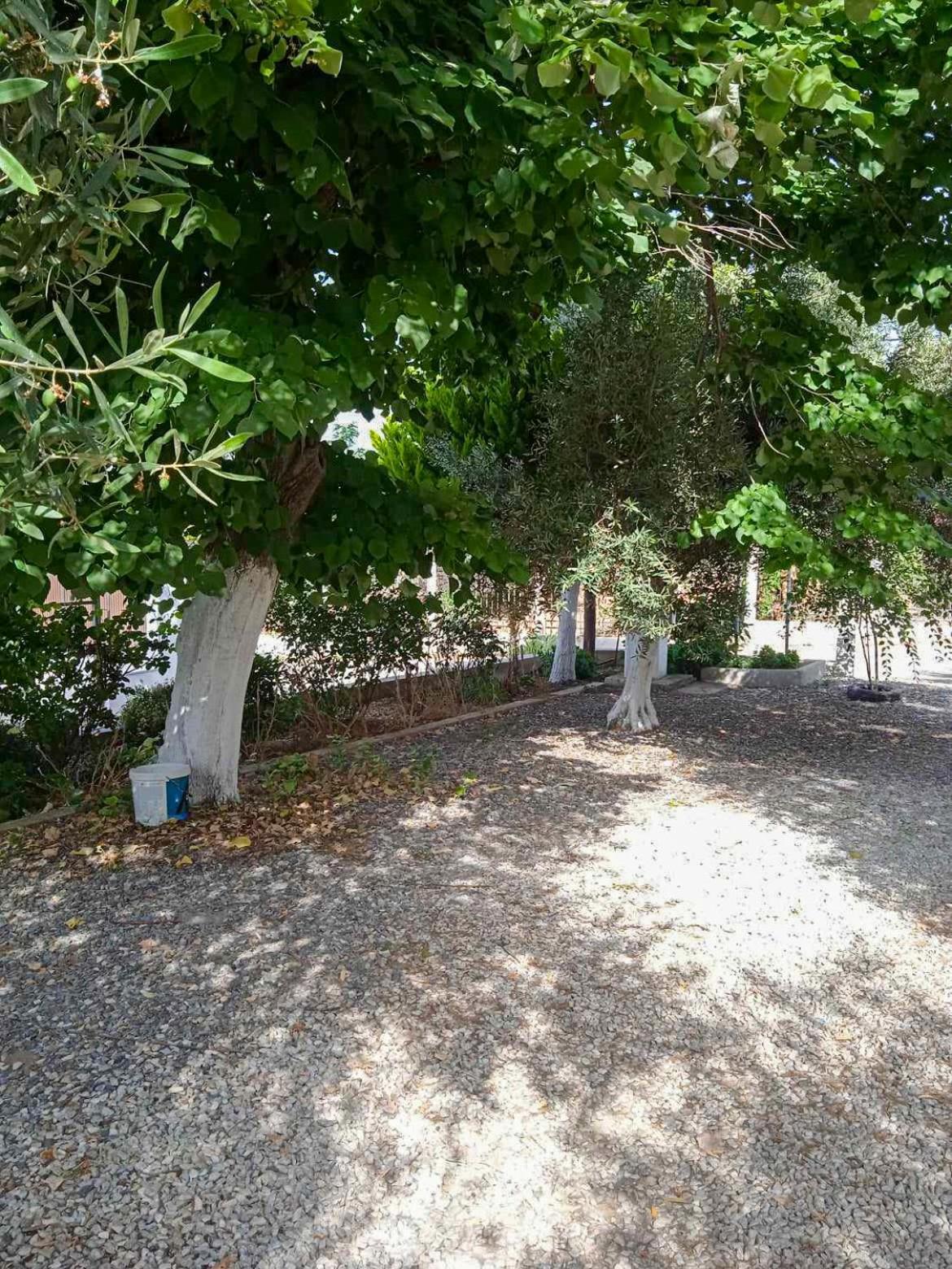 Κυανή Ακτή - Agia Paraskevi มากรี ภายนอก รูปภาพ