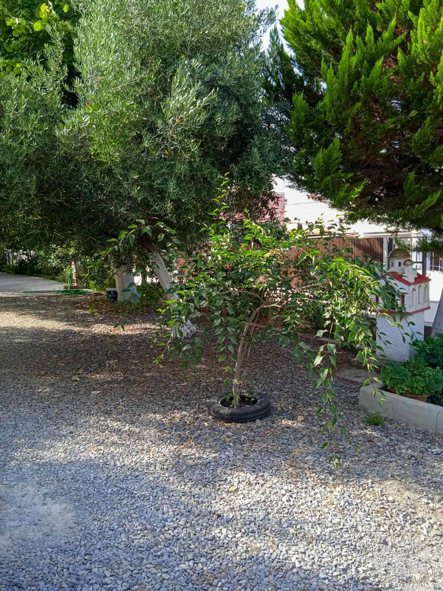 Κυανή Ακτή - Agia Paraskevi มากรี ภายนอก รูปภาพ