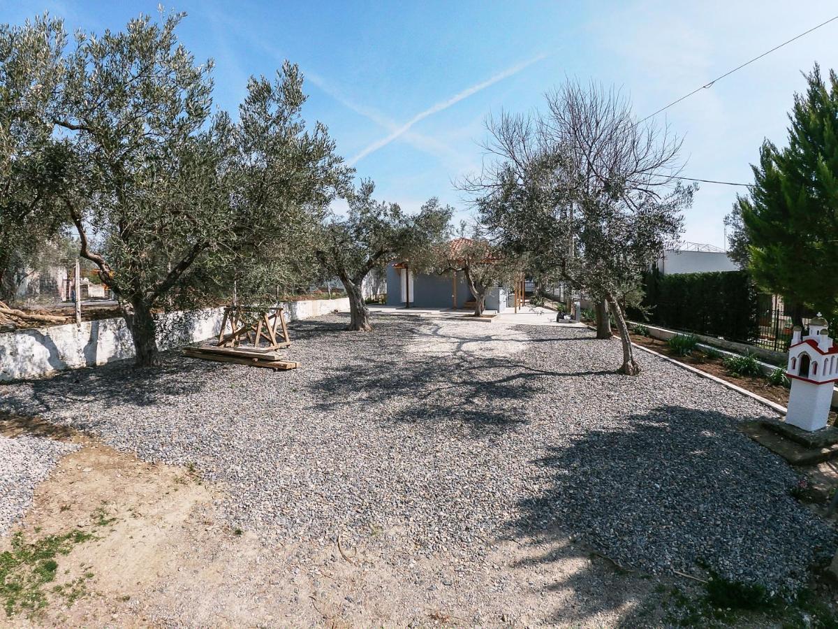 Κυανή Ακτή - Agia Paraskevi มากรี ภายนอก รูปภาพ